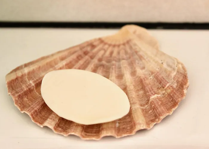 Vivenda Montanha * Alcaria (Leiria)